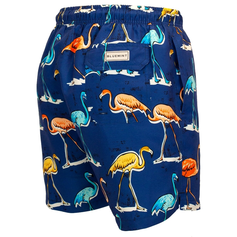 Bluemint Arthus Colourful Flamingo Swimwear