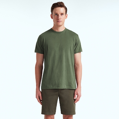 RICCI OLIVE