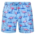 ARTHUS STRETCH SKY BLUE FLAMINGO