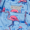 ARTHUS BOY STRETCH SKY BLUE FLAMINGO