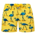 ARTHUS BOY STRETCH CITRUS  FLAMINGO