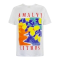 RAYA AMALFI PRINTED