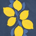 GABRIELLE CAPRI EMBROIDERED