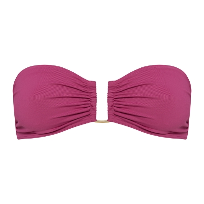 GISELE FUCHSIA