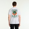 NOLAN PRINTED CAPRI