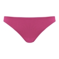 CARLA FUCHSIA	